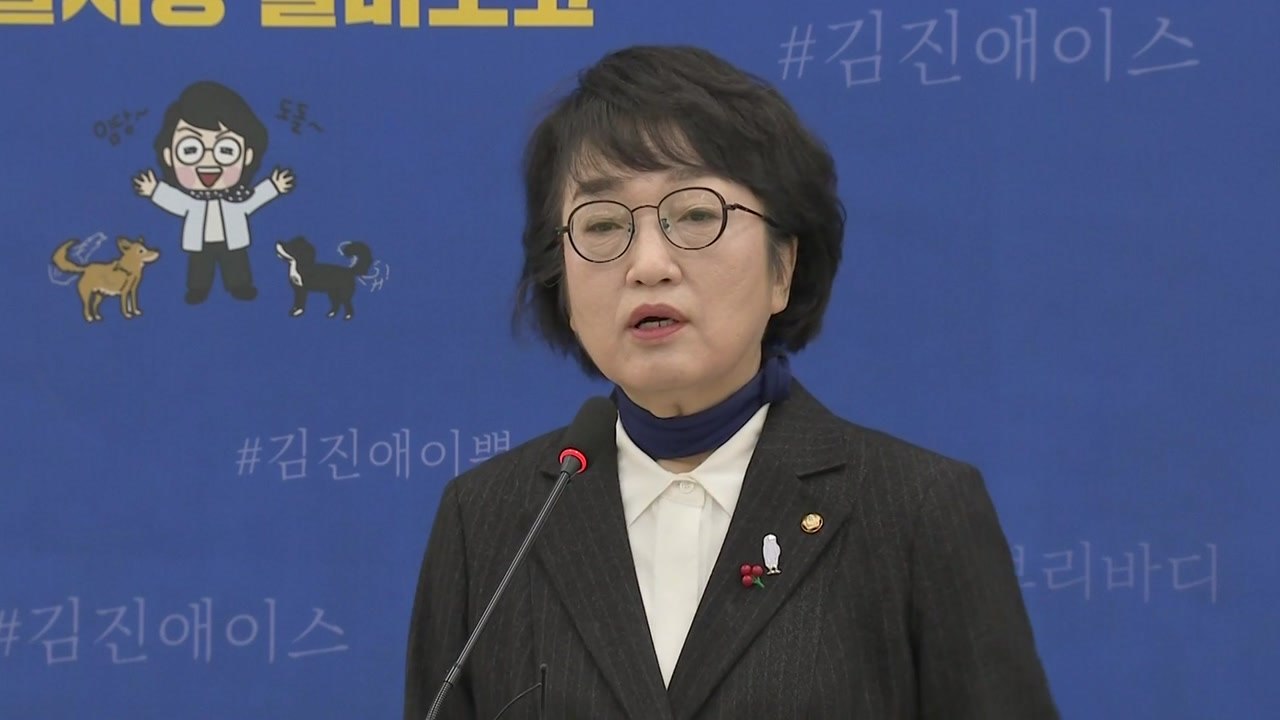 열린민주당 김진애 서울시장 출마...의원직 사퇴하면 김의겸 승계 / YTN