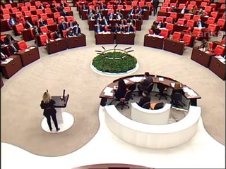 Aylin Cesur TBMM'den bu sözlerle seslendi: Canımız, kalbimiz 'Eğirdir Gölü'müz can çekişiyor