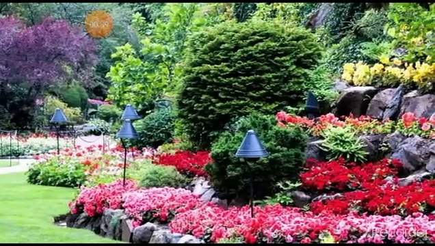 مقطع رائع جدا من أعلى وأعز الناس مكانه؟ المعلم