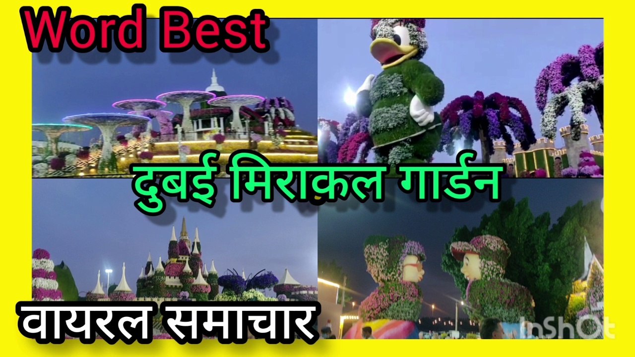 दुबई मिराकल गार्डन_वायरल समाचार Dubai Miracle Garden_Viral Samachar
