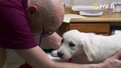 IR Interview; Dr. Jan Pol For "12 Days Of Pol" [Nat Geo Wild] - Part I