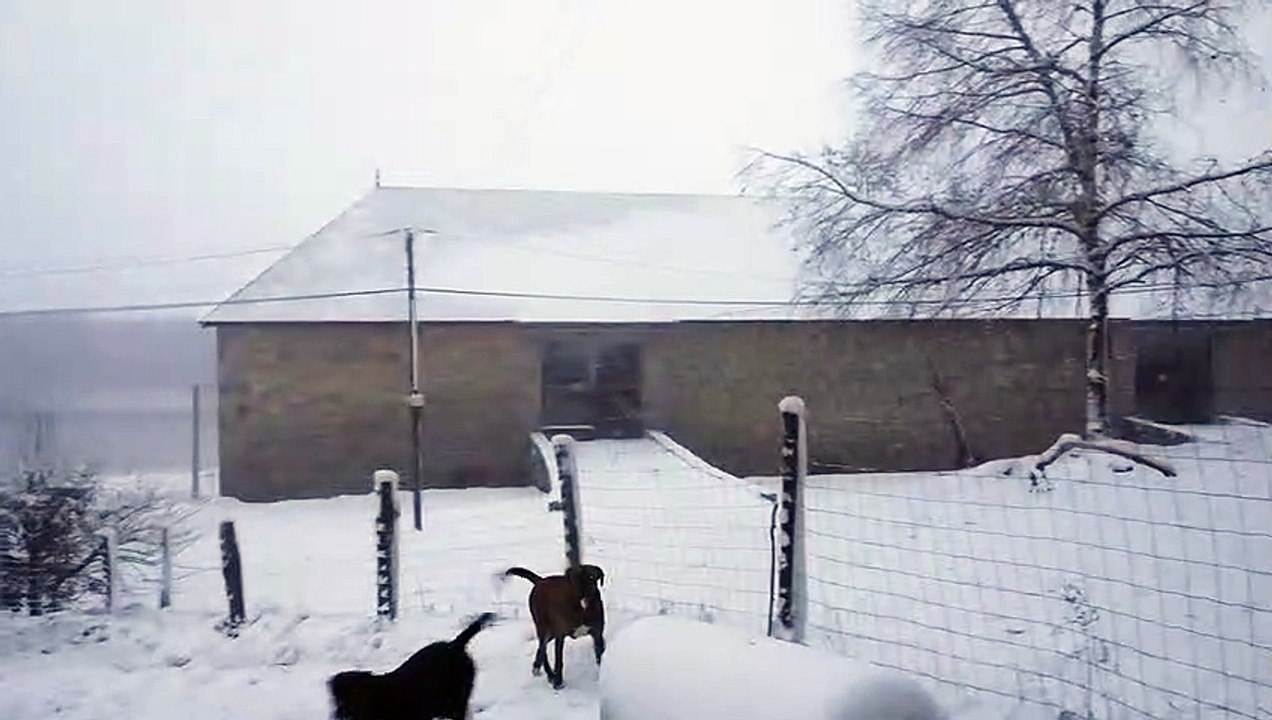 Un peu de neige