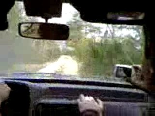 Petit rallye escort