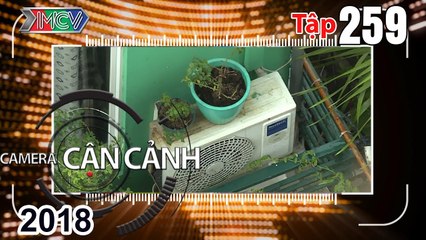 CAMERA CẬN CẢNH | Tập 259 FULL | Bom nổ chậm tại gia - Ôtô hất tung xe máy xuống ruộng - 'Nghề leo'