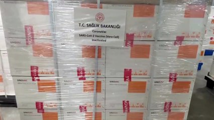 Bakan Koca açıkladı: Çin aşısının gelişi bir kez daha ertelendi!