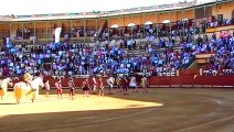 Jerez Feria del Caballo 2017