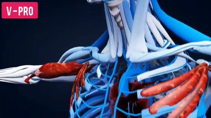 Important Signs Of Vitamin " D " Deficiencies You Must Know