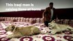 Iraqi man raises African lions at his home