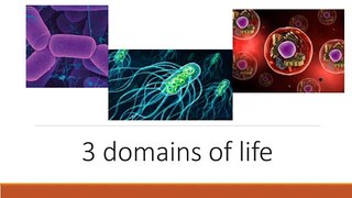 3 domains of life