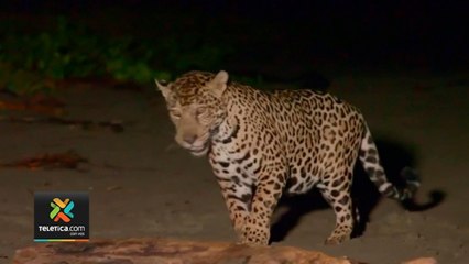 tn7-millones-de-europeas-disfrutan-las-maravillas-de-guanacaste-271220