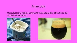 Aerobic and Anaerobic Cellular Respiration