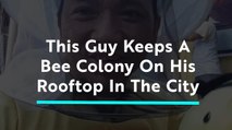 Bees in the City: This Guy Keeps a Bee Colony on His Rooftop