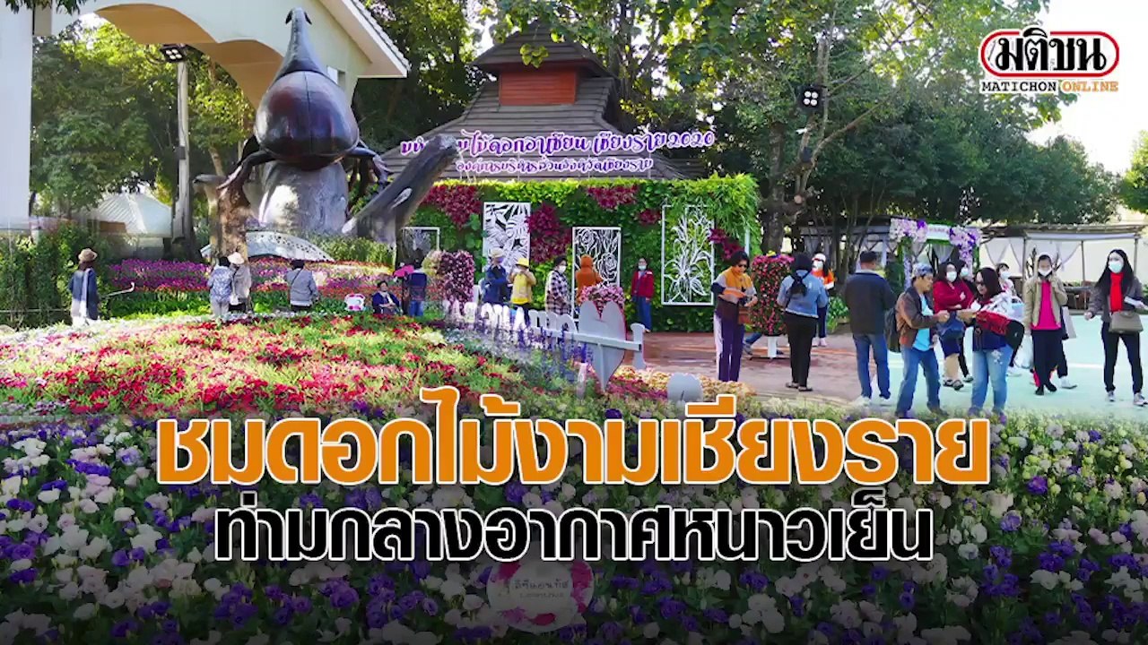 ชมดอกไม้งามเชียงราย ท่ามกลางอากาศหนาวเย็น