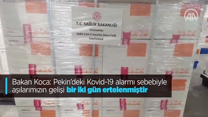 Bakan Koca: Pekin'deki Kovid-19 alarmı sebebiyle aşılarımızın gelişi bir iki gün ertelenmiştir