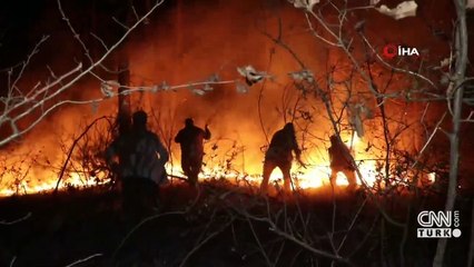 İtfaiye ve vatandaşlar alevleri yendi | Video