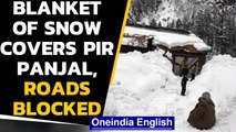 J&K: Fresh snowfall in the higher reaches of Pir Panjal, roads in Rajouri blocked|Oneindia News