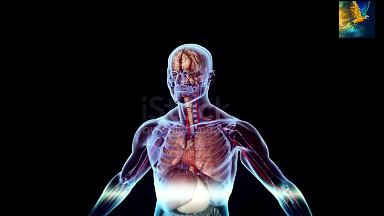 Why people laugh when they are nervous