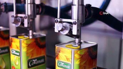 'Fındık yağına talep çok, üretim az'