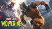 Marvel Wolverine Movies 2020 Trailer - New Marvel Documentary Breakdown and Easter Eggs