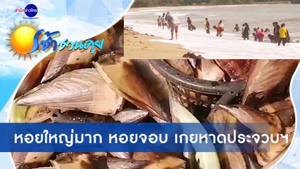 เช้าชวนคุย ช่วงที่ 4 วันจันทร์ที่ 28 ธันวาคม 2563