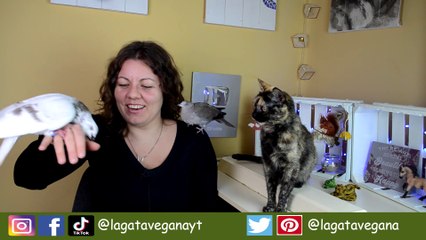 REWIND 2020 LA GATA VEGANA | REPASO POR LOS MEJORES MOMENTOS QUE HEMOS VIVIDO ESTE AÑO EN EL CANAL