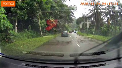Car Near Miss Almost Hit By Tree Dashcam