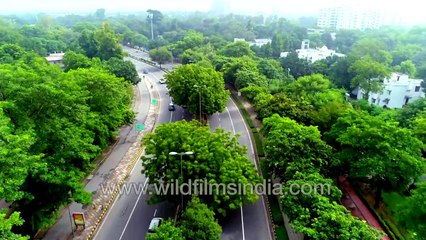 Which green city is this_ Big guess for wildfilmsindia viewers! Hint_ NOT Singapore!