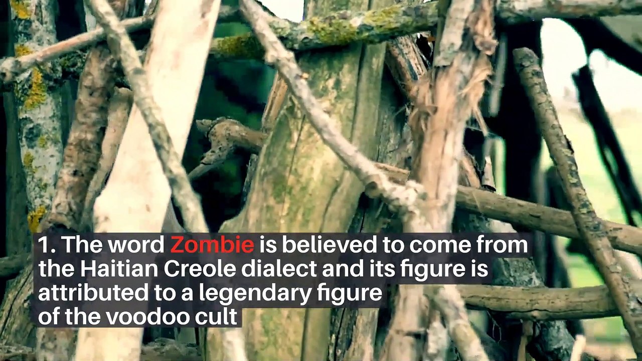5 interesting facts about zombie culture