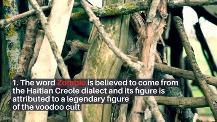 5 interesting facts about zombie culture