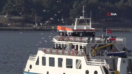 Gökçeada’ya bazı feribot seferleri iptal edildi