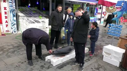 - 75 kilogramlık orkinos balığını 3 kişi zor kaldırdı