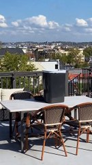 Kelakuan nya bikin orang-orang ngakak 