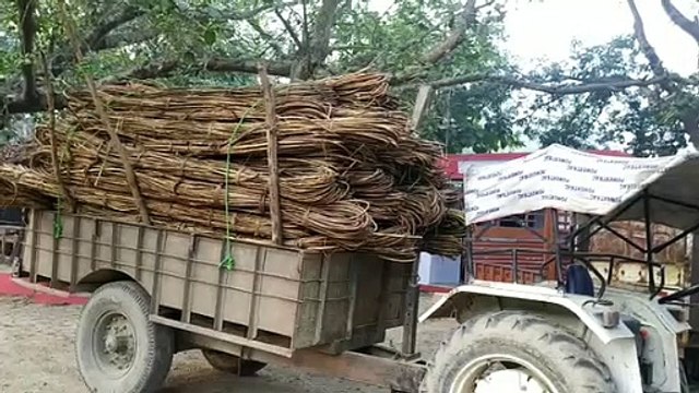 वन विभाग और पुलिस की संयुक्त टीम को एक बड़ी सफलता हाथ लगी