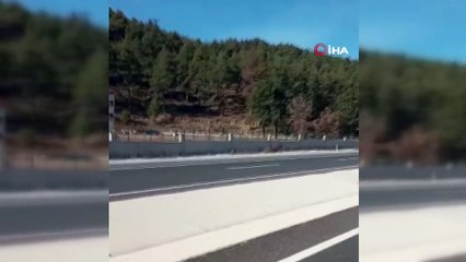 Motoru ile köpeğe çarptı ‘ne fark eder’ dedi
