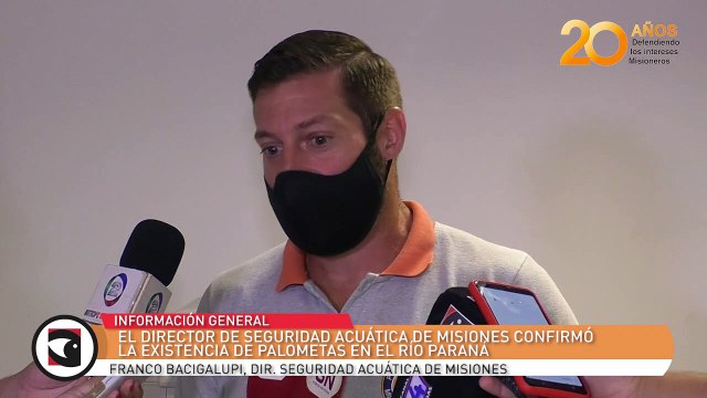 El director de seguridad acuática de Misiones confirmó la existencia de palometas en el Río Paraná
