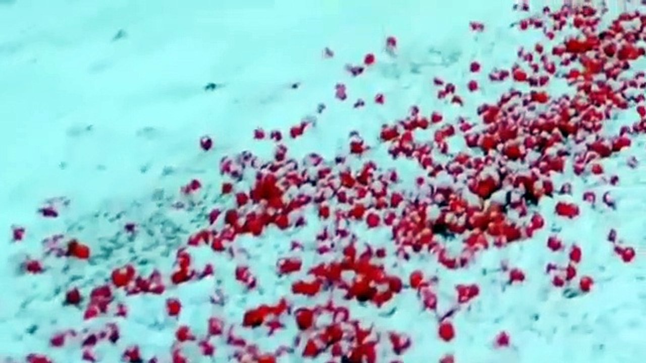 Снег кружится_3