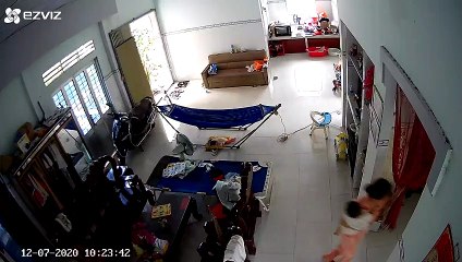 Large Snake Disturbs Hammock Nap