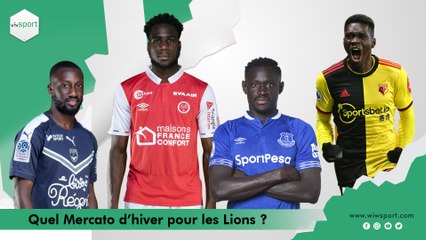 Quel mercato d'hiver pour les Lions  ?