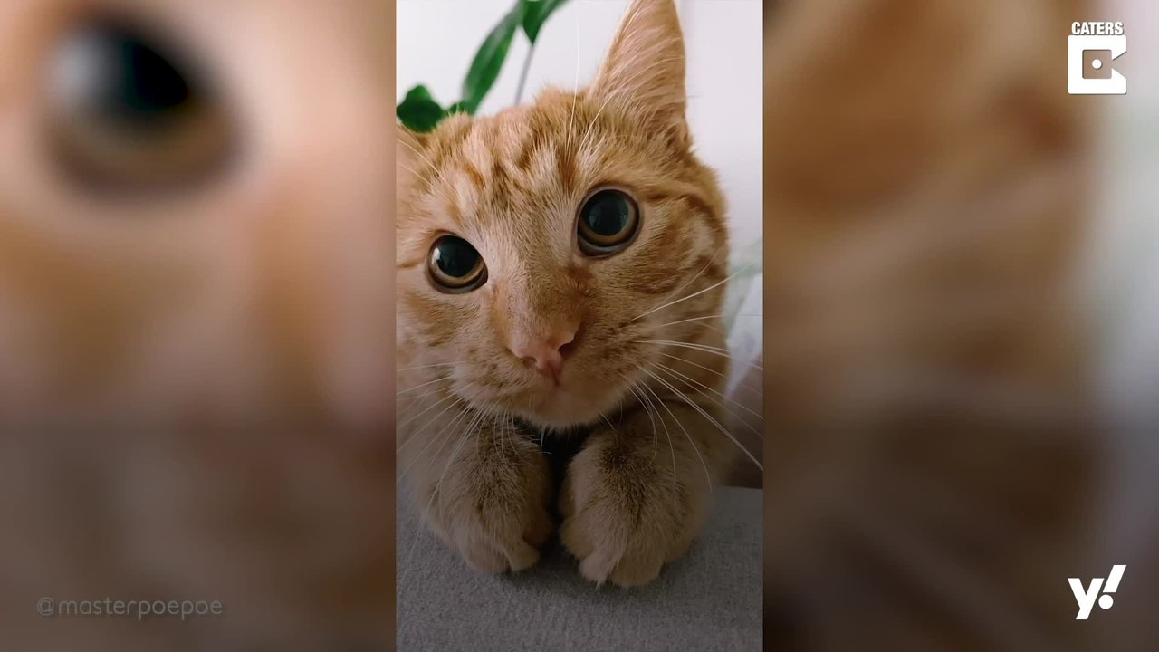 Ein Blick zum Dahinschmelzen