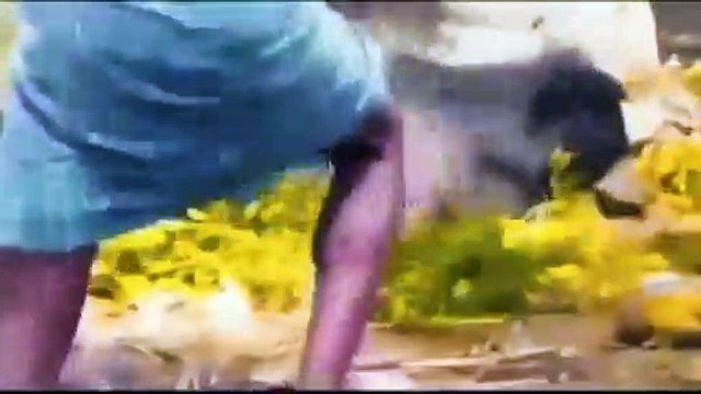 Uplifting trance music