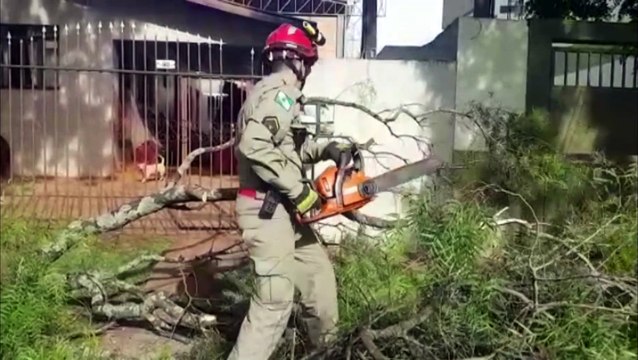 Derrubada por caminhão, parte de árvore obstrui entrada e saída de casa na Rua Acelino de Almeida, no Cataratas