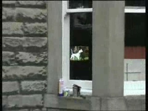 Travel to England and UK, Booking Cheap Flights & Packages