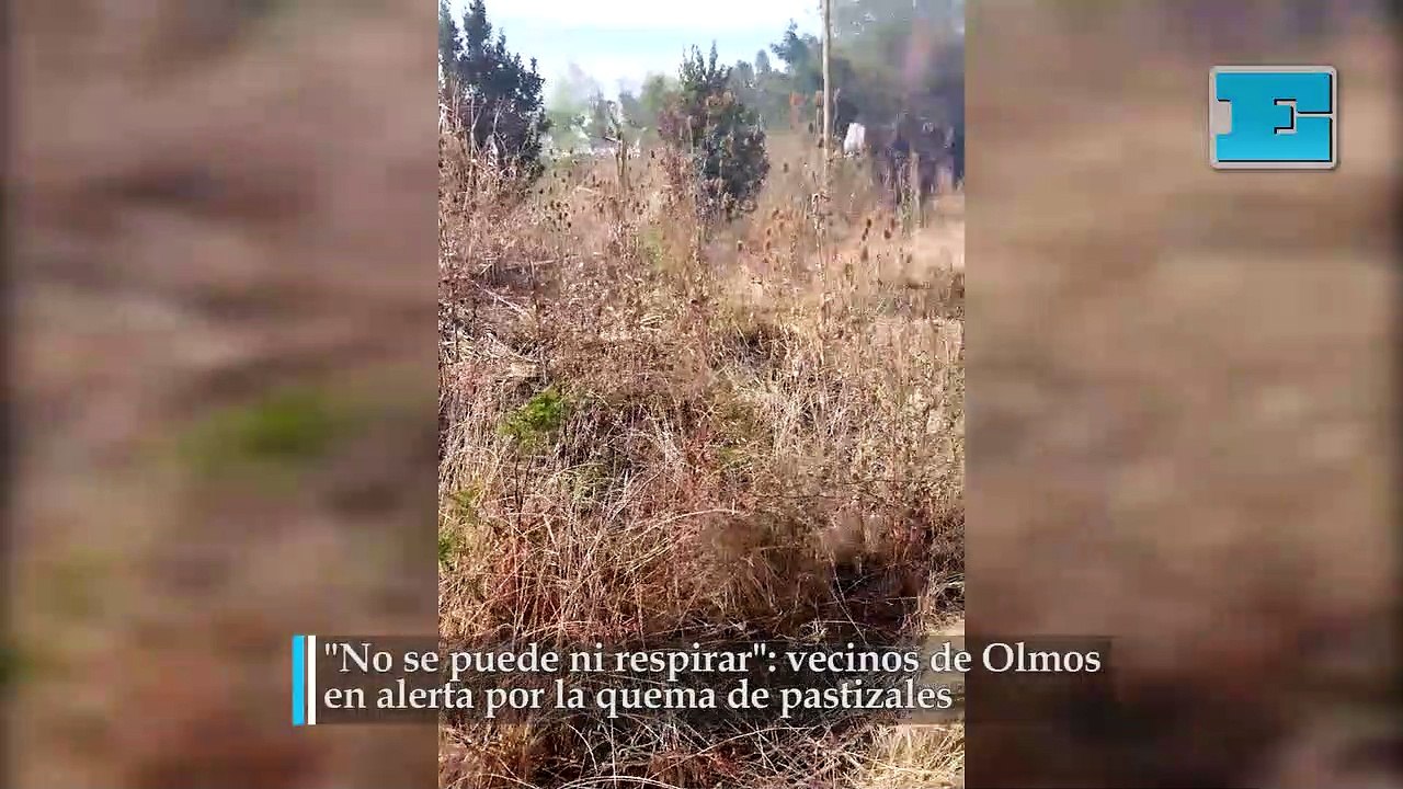 "No se puede ni respirar": vecinos de Olmos en alerta por la quema de pastizales