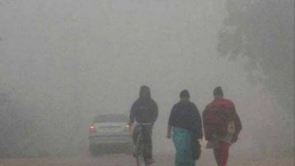 र्दियो में आप भी करते हैं Morning Walk तो एक बार जरूर देख लें ये वीडियो | Boldsky