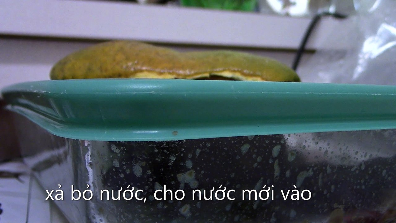 Cách Làm Dưa Chua cho Nước Mắm Pha