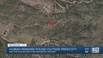Human body parts found discarded at 2 sites in Arizona