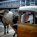 ‘Hybrid taxi’ With Two Bulls And Half A Car Wins Hearts Of Netizens