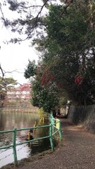 20201229- Ngồi ở công viên Musashiseki ngắm được 4 màu sơn của tàu Seibu Shinjuku