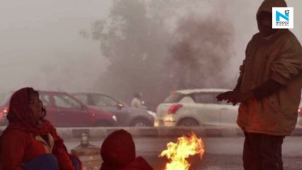 Delhi shivers as minimum temperature dips to 3.6° Celsius today