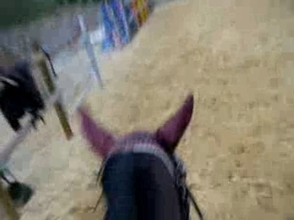 new au galop vu de dessu